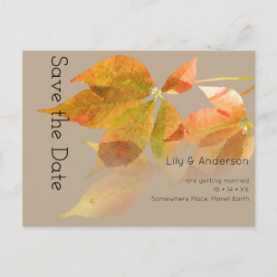 Fall Leaves Watercolor Autumn Postcard