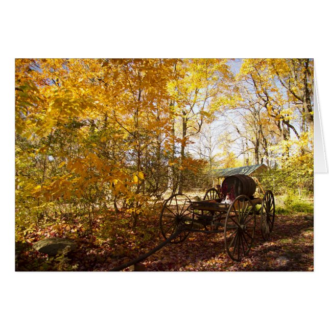 Fall Leaves with wagon (Front Horizontal)