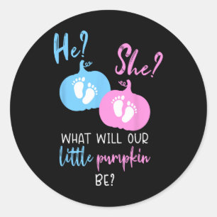 Fall Little Pumpkin Pregnancy  Classic Round Sticker