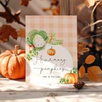 Fall Locally grown baby pumpkin how many candies