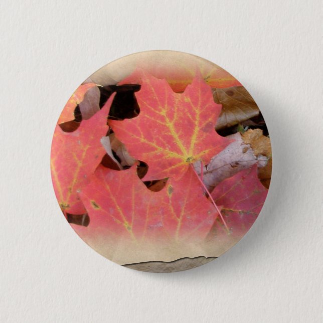 Fall Maple Leaves Coordinating Items 6 Cm Round Badge (Front)