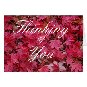 Fall Maple Leaves Greeting Card