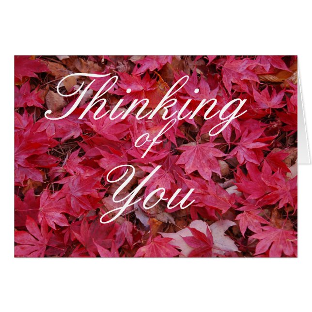 Fall Maple Leaves Greeting Card (Front Horizontal)