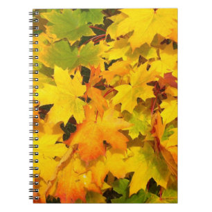 Fall Maple Leaves with Autumn Colours Notebook