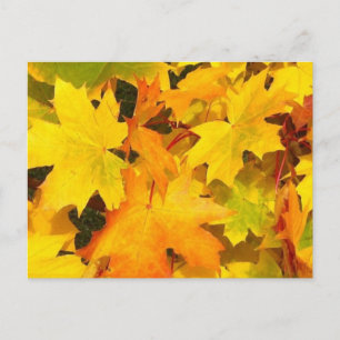 Fall Maple Leaves with Autumn Colours Postcard
