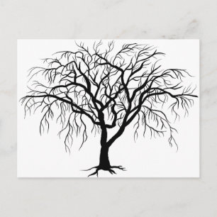 Fall Maple Postcard