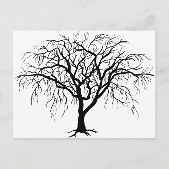 Fall Maple Postcard (Front)