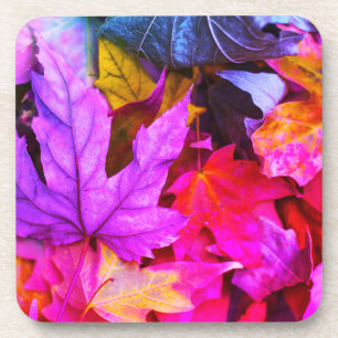 Fall maple tree leaves colourful autumn nature coaster