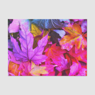 Fall maple tree leaves colourful autumn nature tissue paper