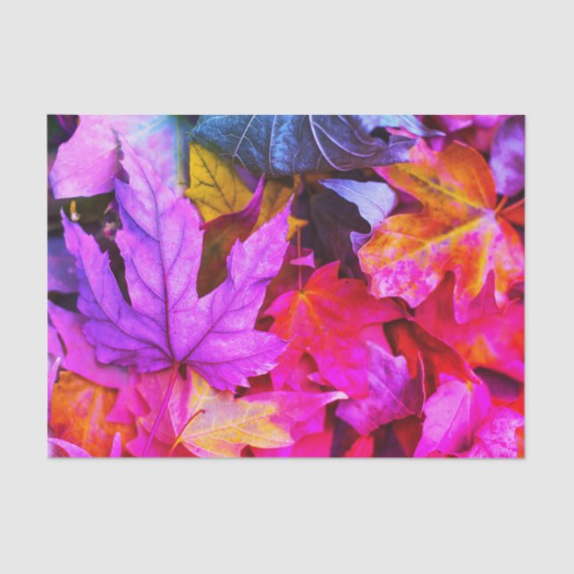 Fall maple tree leaves colourful autumn nature tissue paper (Front)