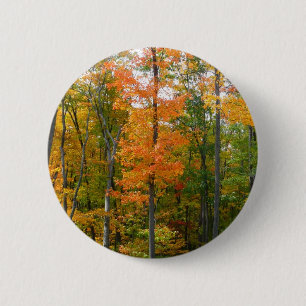 Fall Maple Trees Autumn Nature Photography 6 Cm Round Badge