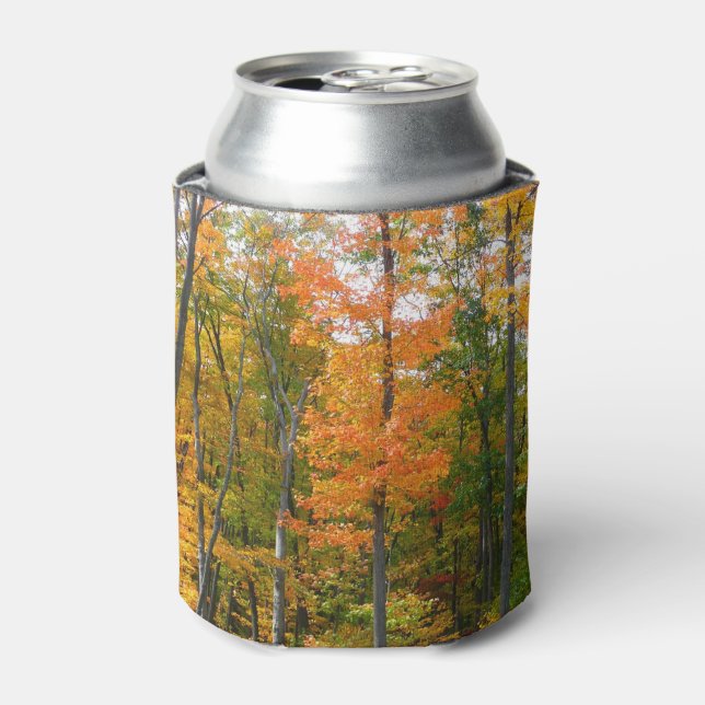 Fall Maple Trees Autumn Nature Photography Can Cooler (Can Front)