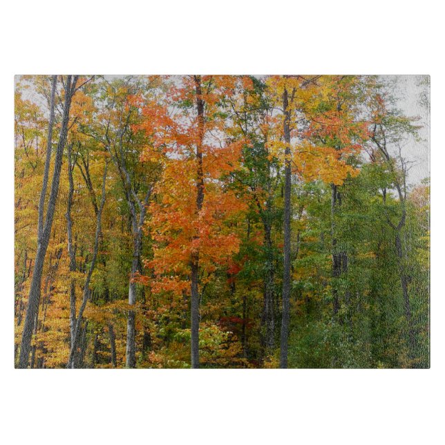 Fall Maple Trees Autumn Nature Photography Cutting Board (Front)