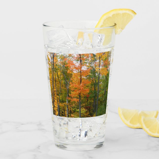 Fall Maple Trees Autumn Nature Photography Glass (Back Ice)