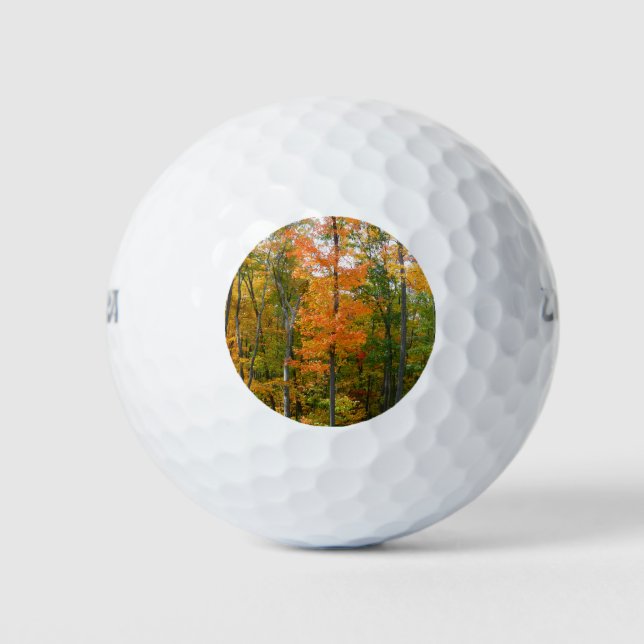 Fall Maple Trees Autumn Nature Photography Golf Balls (Front)
