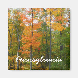 Fall Maple Trees Autumn Nature Photography Magnet