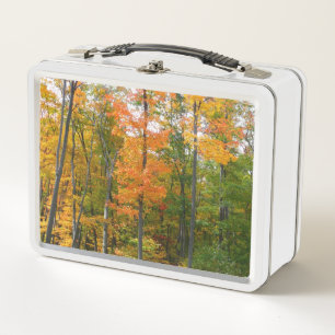 Fall Maple Trees Autumn Nature Photography Metal Lunch Box