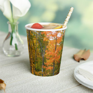 Fall Maple Trees Autumn Nature Photography Paper Cups