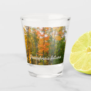 Fall Maple Trees Autumn Nature Photography Shot Glass
