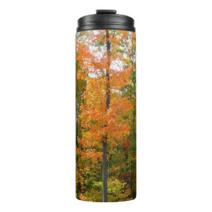 Fall Maple Trees Autumn Nature Photography Thermal Tumbler