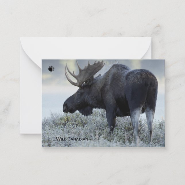 Fall - Moose Card (Front)