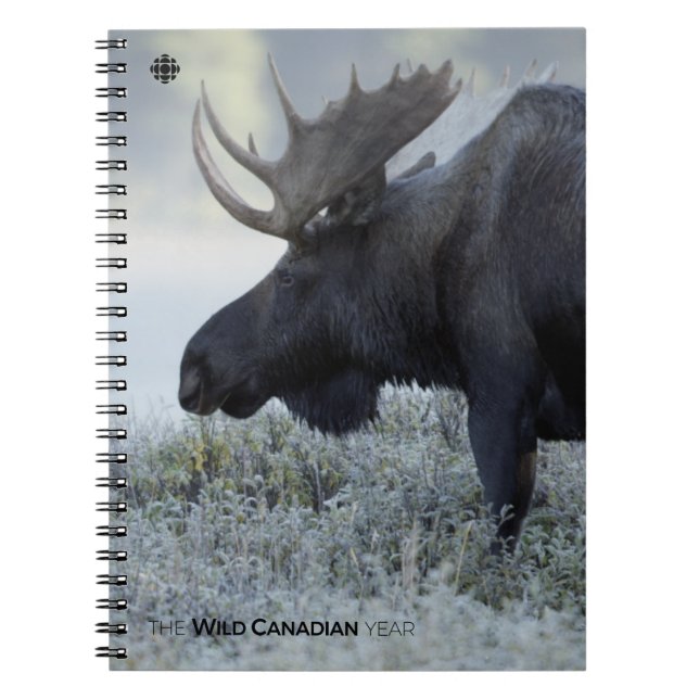Fall - Moose Notebook (Front)