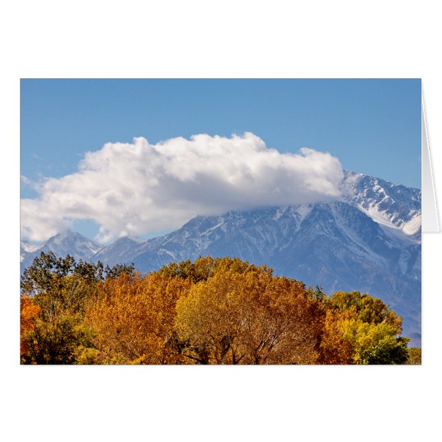 Fall Morning (Front Horizontal)