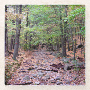 Fall on Blue Hills Reservation Red Dot Trail Glass Coaster