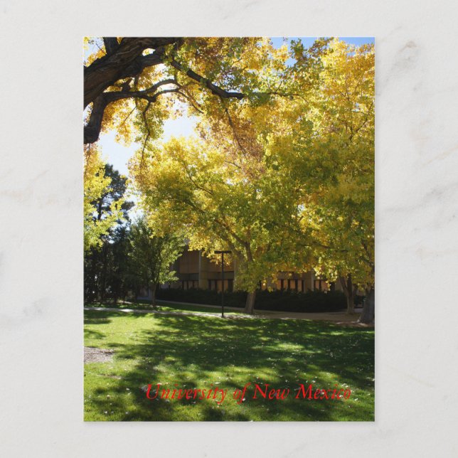 Fall on Campus I Postcard (Front)