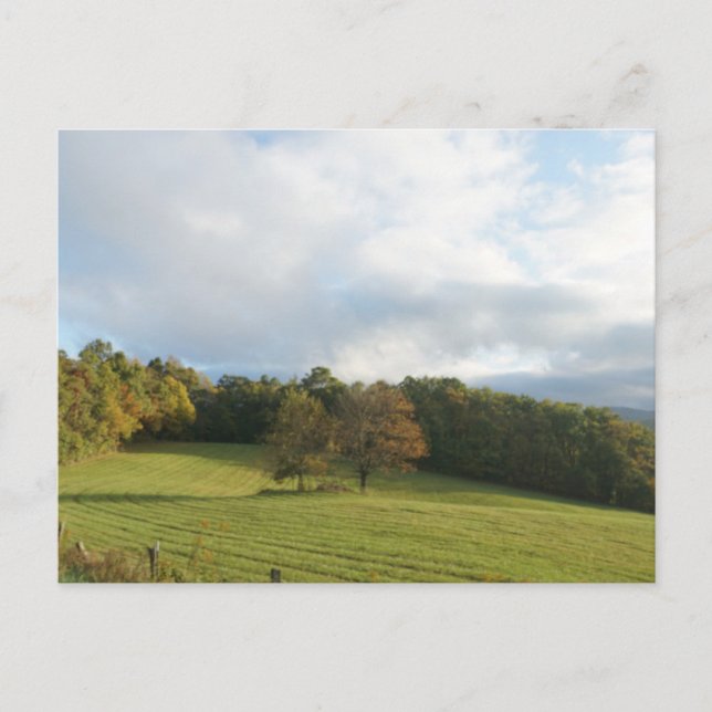 Fall on the Blue Ridge  Postcard (Front)