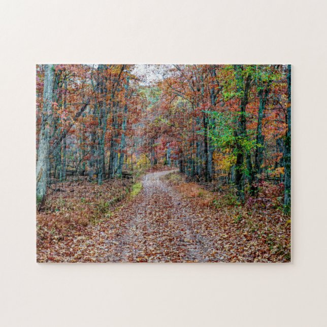 Fall On The Dirt Road new Jigsaw Puzzle (Horizontal)