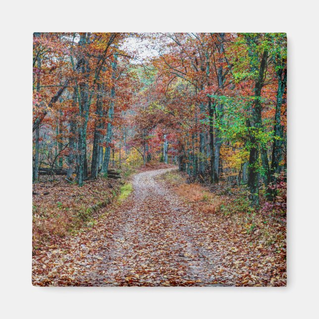 Fall On The Dirt Road new Magnet (Front)