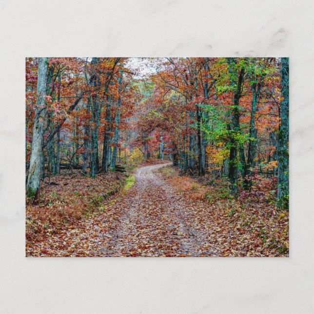 Fall On The Dirt Road Postcard (Front)