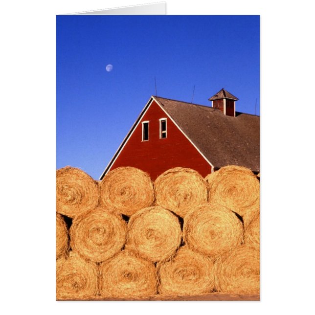 Fall on the Farm (Front)