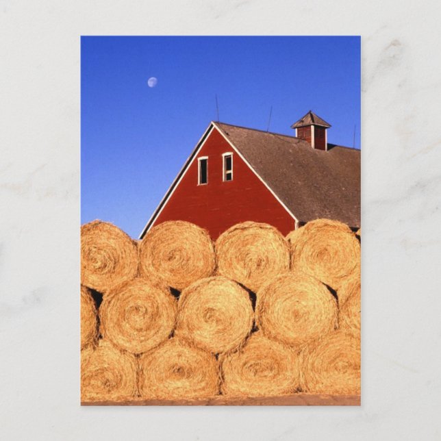 Fall on the Farm Postcard (Front)