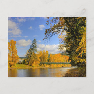 Fall on the Kettle Postcard