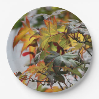 Fall Paper Plate