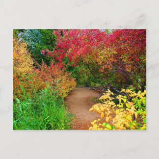 Fall Path Postcard