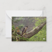 Fall - Peregrine Falcon