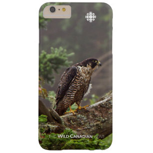 Fall - Peregrine Falcon Barely There iPhone 6 Plus Case