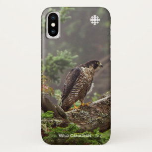 Fall - Peregrine Falcon iPhone X Case