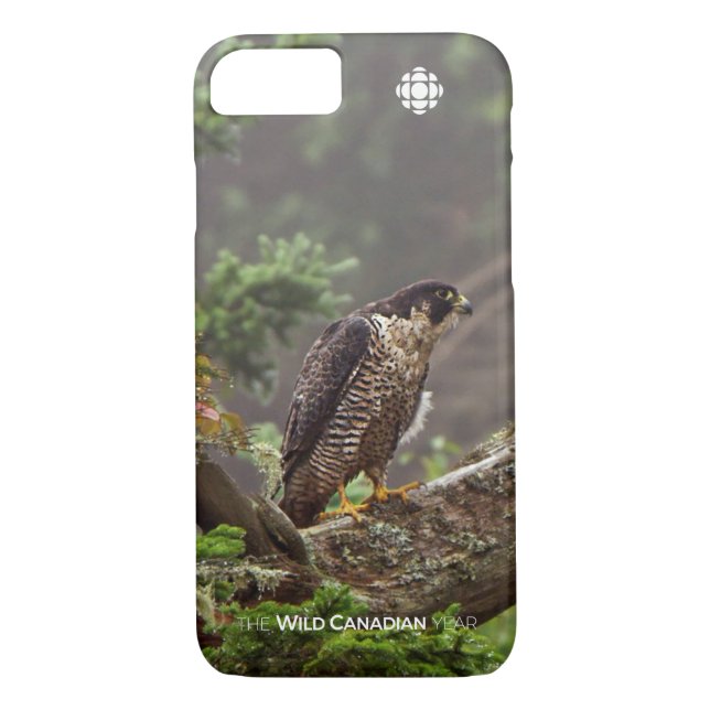 Fall - Peregrine Falcon Case-Mate iPhone Case (Back)