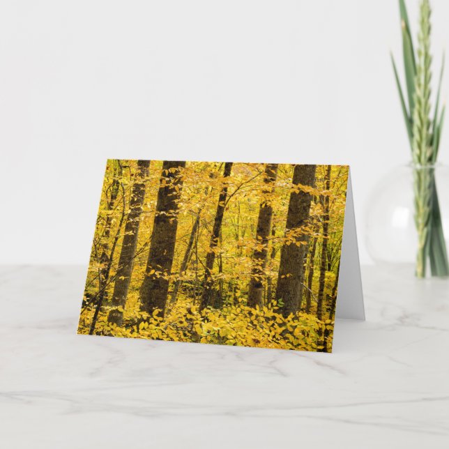 Fall Pisgah National Forest Card (Front)