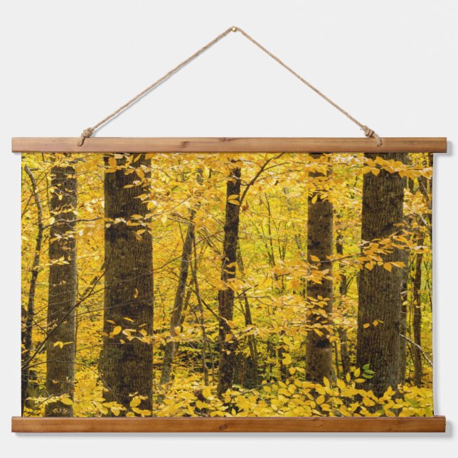 Fall Pisgah National Forest Hanging Tapestry (Front)