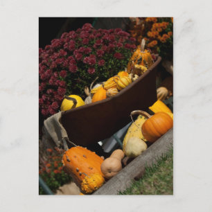 Fall Postcard