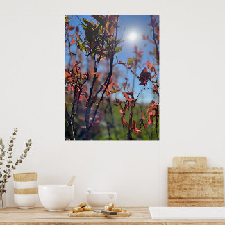 Fall  poster