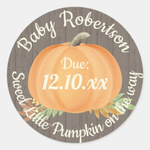 Fall Pumpkin Baby Shower Rustic Classic Round Sticker