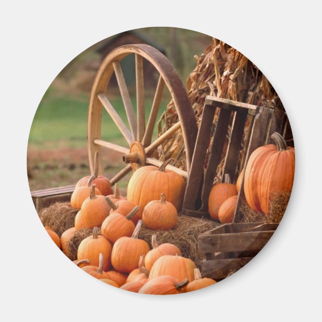 Fall Pumpkin Harvest Magnet (Front)