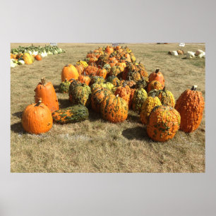 Fall Pumpkin Sale Poster