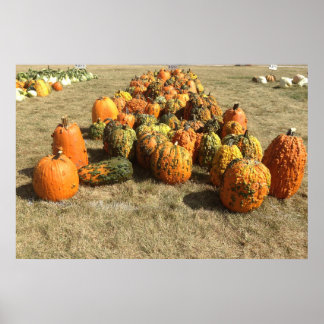 Fall Pumpkin Sale Poster